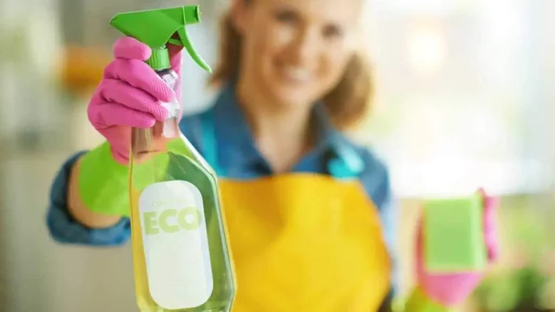 The Impact of Household Chemicals on Your Septic System and Alternatives to Consider